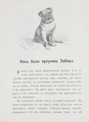 Быкова М.А. Первые рассказы из естественной истории. Для детей, только что научившихся читать. [В 2 вып.]. Вып. 1–2. М.: Изд. А.Д. Ступина, 1912.